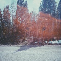 thought you fckn cared