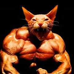 Psycho Playa - Topic – Ronnie Coleman