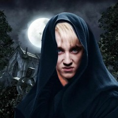 House Of Slytherin XI - The Last Chapter