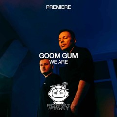 PREMIERE: Goom Gum - We Are (Original Mix) [Avtook Records]