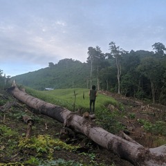 Nadin Amizah-sebuah tarian yang tak kunjung selesai