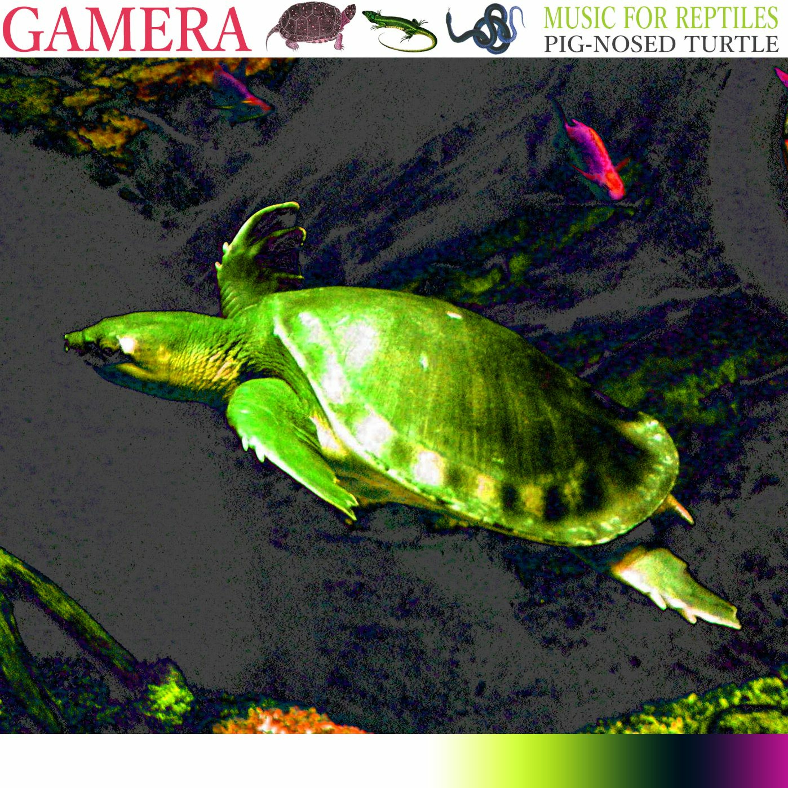 GAMERA aka GMRA