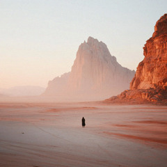 [마음이 녹아 혼미하니 살려주길 바래]수2:8-14