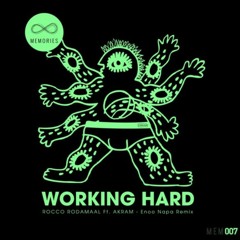DJ ALBERTO & ROCCO FT. AKRAM - WORKING HARD (BOOTLEG)