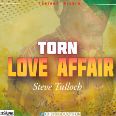 Steve Tulloch - Torn Love Affair [Tonight Riddim] (Reggae 2006)