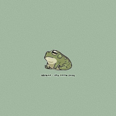 Shy Little Frog | Lofi