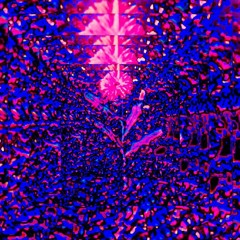 EARTHBOUND