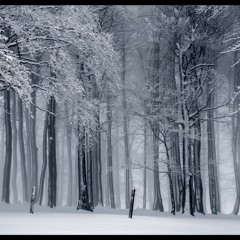 die Kälte der Nacht