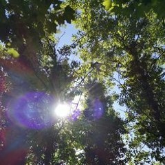 samples/compilations