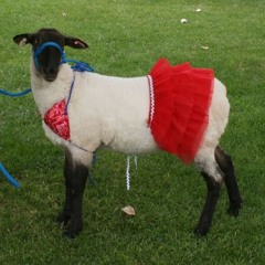 Lil Phallus - Baaaaaaaaa