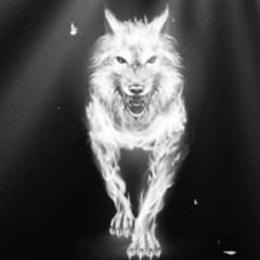 Wolf by T-Real & Asio Beats