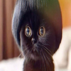 ichbinsoemo prod. nskyi