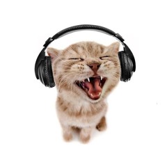 LISTENING
