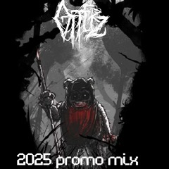 OTTERZ 2025 PROMO MIX