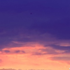 weightless (pledgge)