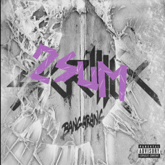 SKRILLEX - BANGARANG (2SUM FLIP)
