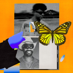 Jamie Jones & Green Velvet - Butterflies (KILIMANJARO Remix)