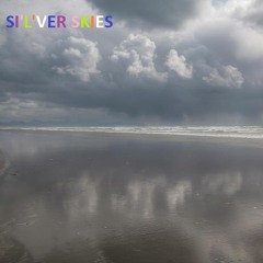 29230104_silver_skie_forever