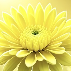 To Lay Flowers (Requiem)