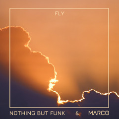 Fly Robin Fly (Nothing But Funk & Marco Extended Edit)