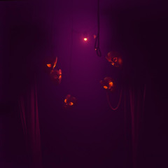 Shadow Carnival