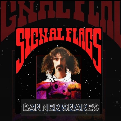 BANNER SNAKES