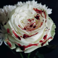 Poisonous Flower (Dark Lullabies) instrumental