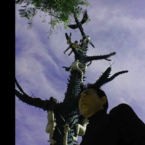 Susumu Hirasawa - Coyote (no intro or outro vocals)