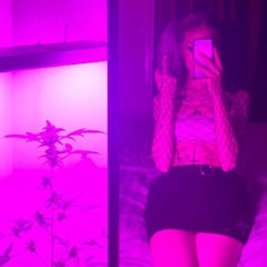 fakefriendseverywhere