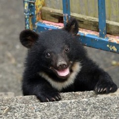 A Children’s Crusade (demo)