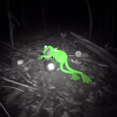 SLOW SNAIL DAMAGE - BASSVI Mix