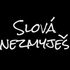 Slová nezmyješ (demo)