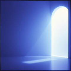 Echo in the Dark