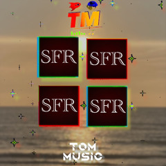 SFR 2.0 (Ringtone 2000s Phone Remix VIP)