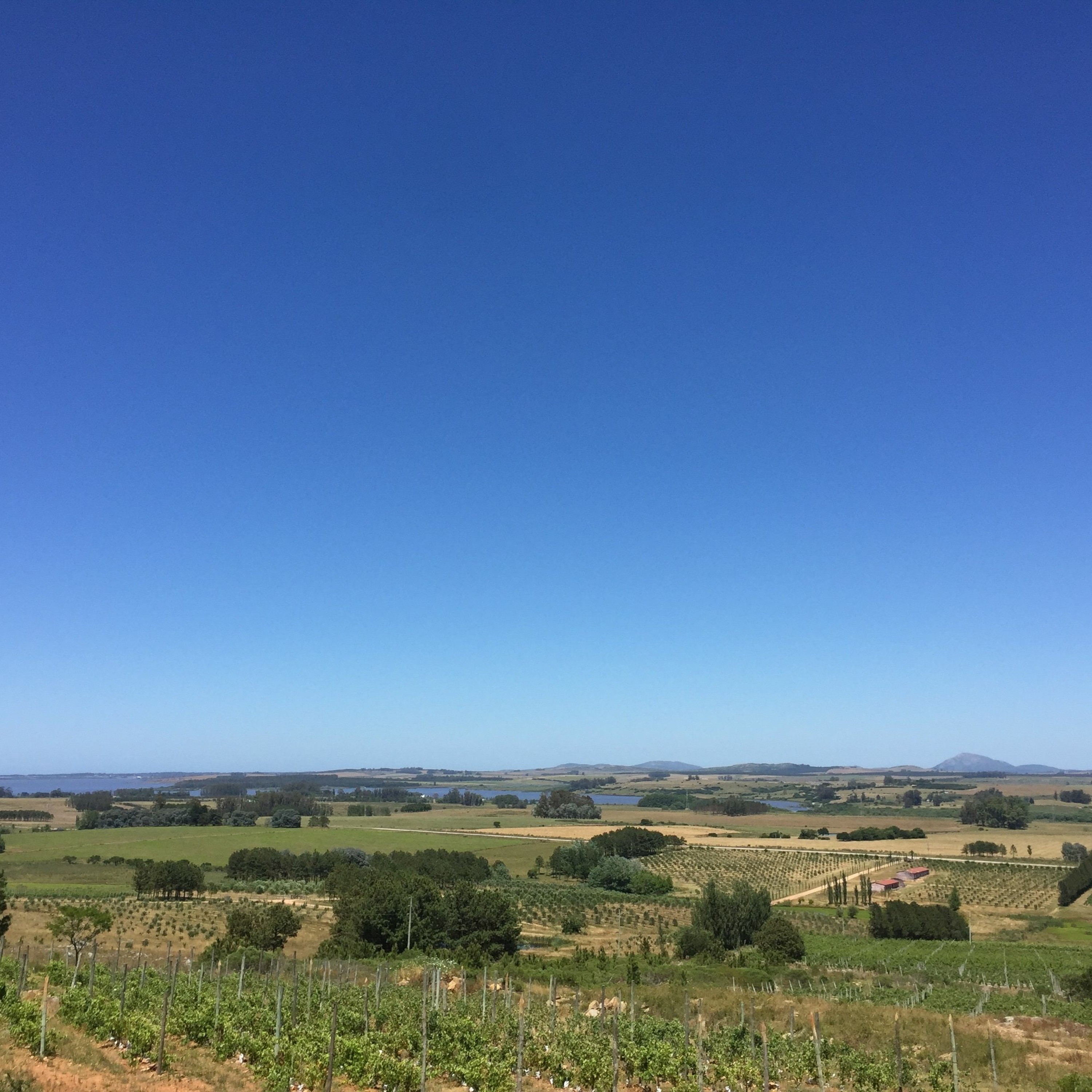 Matthew\'s World of Wine and Drink