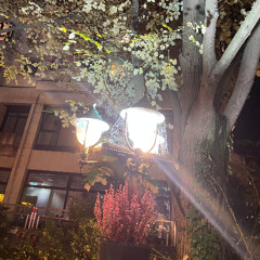 Нелегально w/ marrygelo