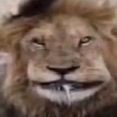 Болен - dope17 slowed