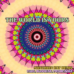 The World is Yours - (Munchkin Kat Remix)