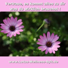 Einzelsitzung JuMaLy Heilung