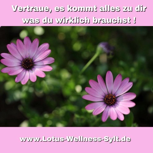 Einzelsitzung JuMaLy Heilung