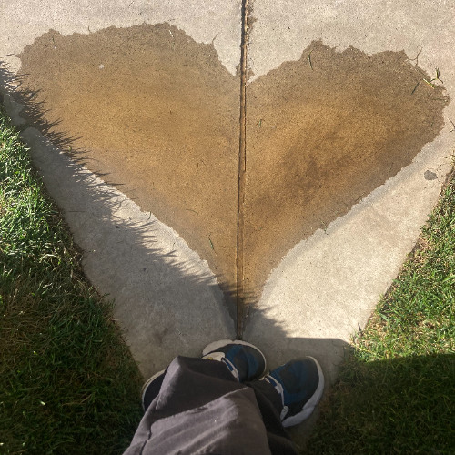 sink in 2 the ground (early stars)