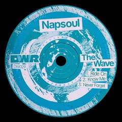PREMIERE: Napsoul - Never Forget [Dealt With Records]