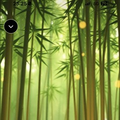 竹の息-–-breath-of-bamboo-(-spiritual-) 4.