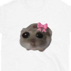 I'm Just A Girl Sad Hamster Shirt