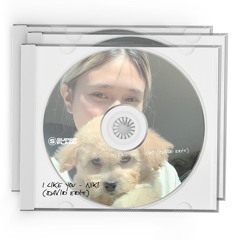I Like u - Niki (David)