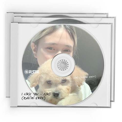 I Like u - Niki (David)