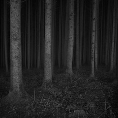 Creepin' Thru Da Woods