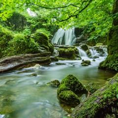 Mind-Walk Visualisatie “De rivier- stromen in de richting van je dromen”