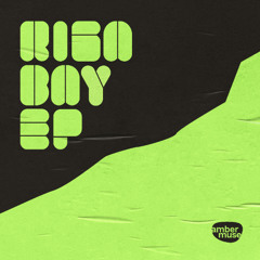 Taran & Lomov - Bo Gets Drunk (Queer On Acid Remix) [Amber Muse]