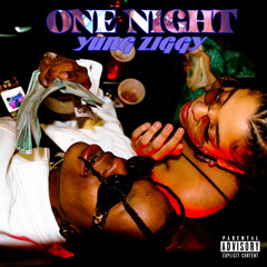 ONE NIGHT